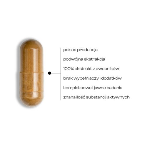 Kapsułki CordEner Hefu z ekstraktem z Cordycepsu – wsparcie witalności, libido i wydolności przy aktywności fizycznej.