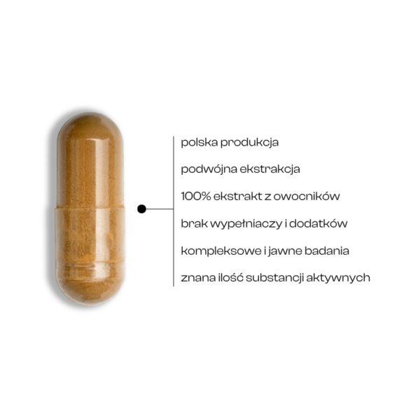 Kapsułki CordEner Hefu z ekstraktem z Cordycepsu – wsparcie witalności, libido i wydolności przy aktywności fizycznej.