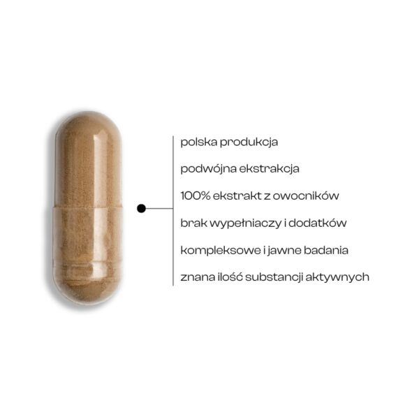 Kapsułki HeriBra Hefu z ekstraktem Lion’s Mane – naturalne wsparcie mózgu, pamięci i równowagi psychicznej.
