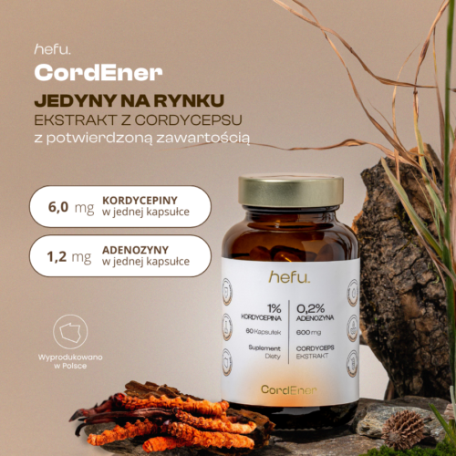 Ekstrakt z owocników Cordyceps sinensis w kapsułkach z potwierdzoną zawartością 6 mg kordycepiny i 1,2 mg adenozyny w każdej kapsułce.