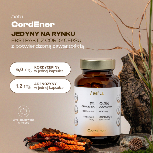 Ekstrakt z owocników Cordyceps sinensis w kapsułkach z potwierdzoną zawartością 6 mg kordycepiny i 1,2 mg adenozyny w każdej kapsułce.