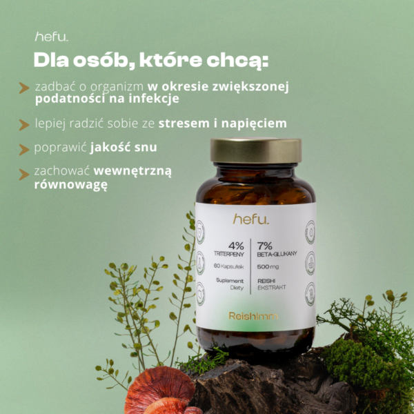 Opis komu suplementacja Reishi może przynieść korzyści. Lepszy sen, wewnętrzna równowaga, obniża stres i napięcie, wspiera w sezonie infekcyjnym
