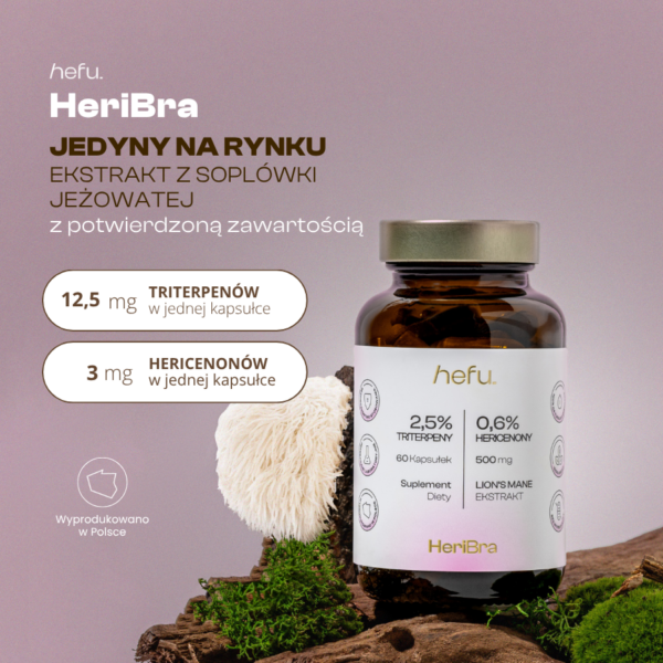 Ekstrakt z soplówki jeżowatej w kapsułkach z potwierdzoną zawartością 12,5 mg triterpenów i 3 mg hericenonów w każdej kapsułce.